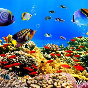 Tranh Dán Tường Cảnh Biển