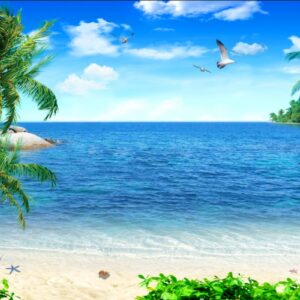 Tranh Dán Tường Cảnh Biển