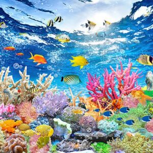 Tranh Dán Tường Cảnh Biển